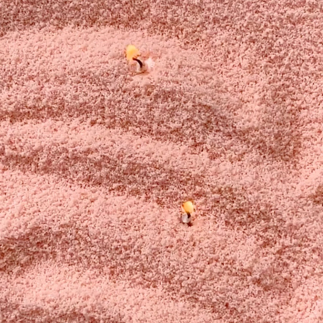 Powdered Candle Refill Kit – Unscented Peach, 330g